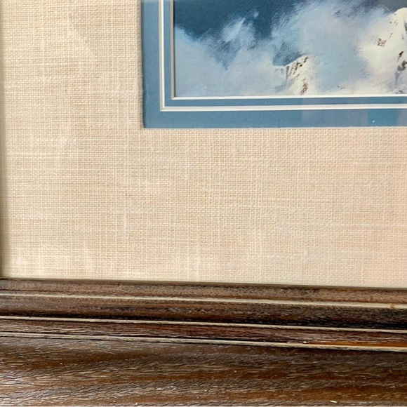 “Springtime Flying In The Rockies” Singled & Framed Print 17/20 Inch - Picture 4 of 12